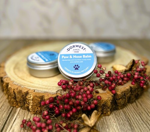 three tubs of dorwest paw & nose balm on a wooden plate