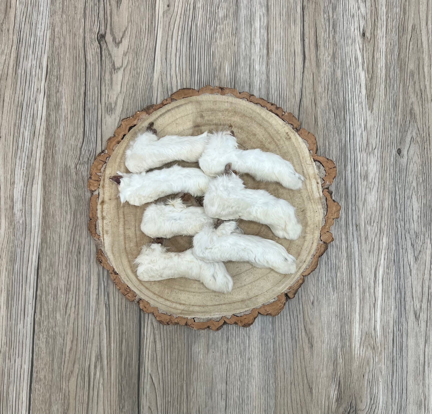 Rabbit Feet