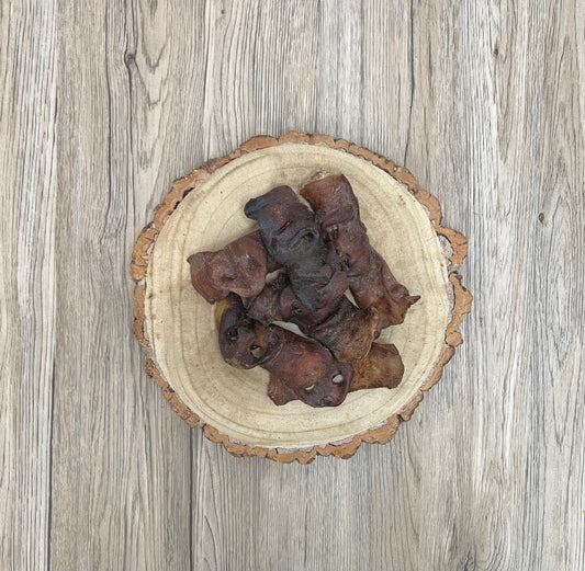 Pig Snout
