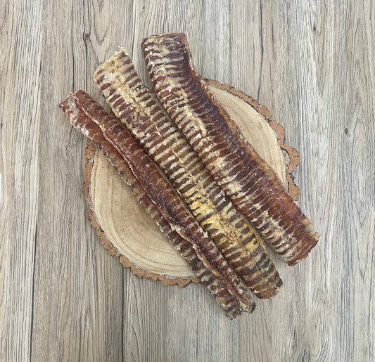 Large Trachea