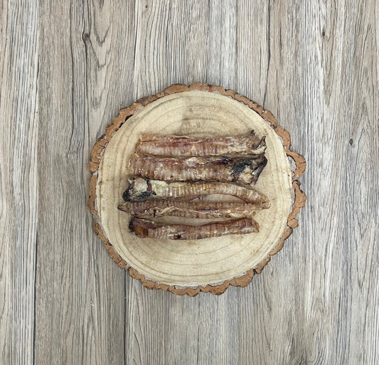 Lamb Trachea