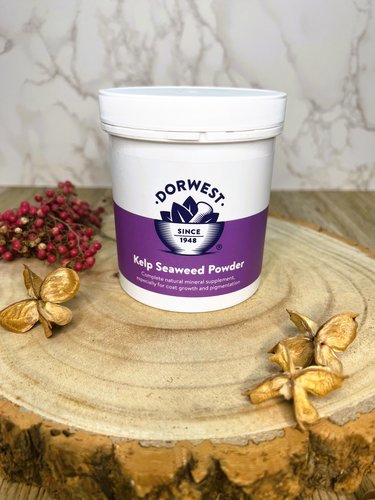 A tub of Dorwest kelp seaweed powder